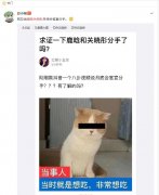 鹿晗关晓彤已经分手是真的吗？很快便有答案！