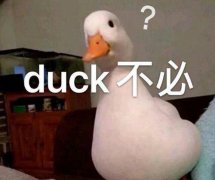 女生说duck不必怎么回复？网络上的谐音类似duck不必盘点
