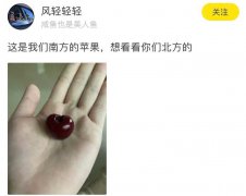 车厘子的梗是什么意思？有多好笑？