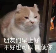 希望你永远不懂这句话的意思？什么梗？