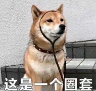 男生对女生说kkp什么意思？如果有男生对你这么说直接拉黑