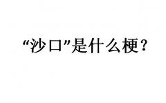 网络用语沙口是什么梗？什么意思？
