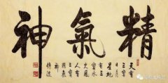 肾精充足的人脑子聪明的原因，肾精到底是什么？