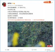 李子柒事件是怎么回事，停更原因是什么？