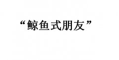 鲸鱼式朋友是什么意思？鲸鱼式朋友你值得拥有