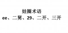 娃圈ee、二舅、29、二开、三开是什么意思？