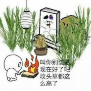 坟头草三丈高什么意思，坟头草要不要清理？