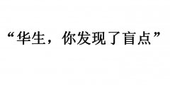 华生你找了盲点什么梗？华生你发现了一个盲点什么意思？