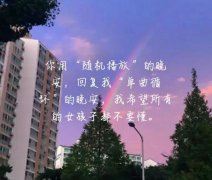 你用随机播放的晚安回我单曲循环的晚安什么意思？