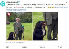 伯恩山犬寿命真的短吗，伯恩山中国禁养吗？