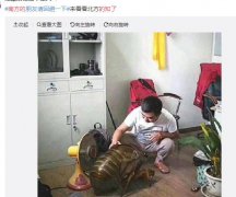 北方朋友回避一下什么梗？什么意思？