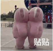 贴贴是什么意思？什么梗？