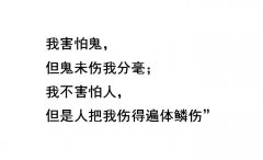 过鬼节要注意什么？要缅怀要感恩