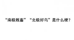 北极好鸟是什么梗？腾讯为什么叫南极贱畜