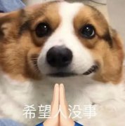 希望人没事是什么梗？希望人没事表情包出处
