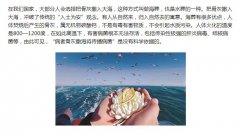 海葬完事后悔了怎么办？海葬的流程是怎样的