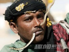 揭秘南亚神秘蛇人部落，印度蛇人部落的风俗有哪些？