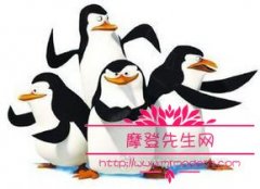 非洲马达加斯加为什么有企鹅？在非洲的马达加斯加都有哪些动物？