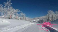 亚布力到雪乡总共有多少公里？雪乡什么时候去玩最好？