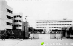 闫永明为什么叫中国伟哥之父？闫永明收购奇圣胶囊前后经过