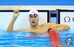 孙杨点赞关于私生子传闻微博，孙杨私生子事件是不是真的