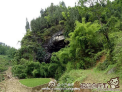 一老和一少女私奔住山洞，私奔会有什么样的后果