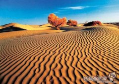 死亡之海指的是哪个沙漠，塔克拉玛干沙漠是怎么形成的