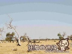 物种和种群两者是什么关系?物种是怎么形成的