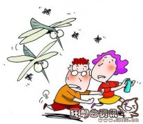 蚊子最怕闻到什么味道，有效驱除蚊子的方法都有哪些