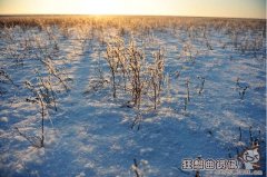 零下十度需要穿多少衣服，零下十度有多冷是什么概念