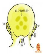 什么是五枕骨？平后脑勺、凸后脑勺也会影响命运