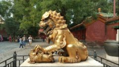 铜狮子正确的摆放图片，铜狮子的雌雄是怎么辨别的？