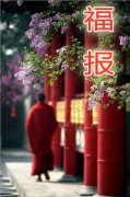 一个人有大福报的表现，明星为什么福报那么大？