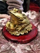金蟾摆放的最佳方向图 三足金蟾最忌讳什么