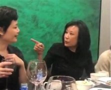 苏小明是苏振华的女儿吗，苏小明杨烁是什么关系？