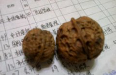 一大一小的核桃能玩吗，文玩核桃两个不一样大怎么处理