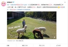 羊驼的口水什么味道是臭的吗，它口水里有没狂犬病毒？