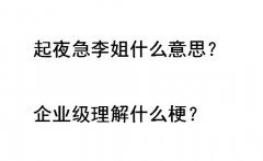 起夜急李姐什么意思？企业级理解什么梗？