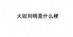 火钳刘明是什么梗？火钳刘明到底是什么意思？