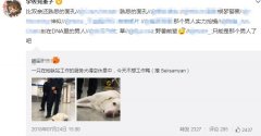 刻进dna是什么意思？刻进dna梗来源出自哪里
