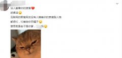 买橘子的梗是什么意思？买橘子的梗怎么怼回去？