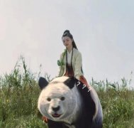 呵呵姑娘的坐骑厉害吗？呵呵姑娘的大猫结局