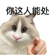 这人能处有事真上什么梗？这人能处什么意思？出处