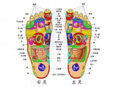 脚的各个部位详细图，脚底脚面反射区图解示意图