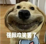 搞学是什么意思？搞学了武汉话什么意思？