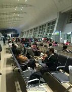 韩国空姐打中国老人视频，涉事空姐照片曝光！