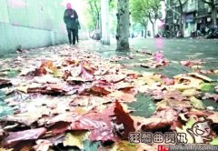 冷空气为什么会往下飞？冷空气为什么干净？