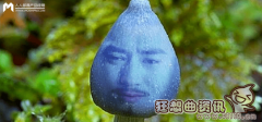 蓝瘦香菇爆红原因分析，蓝瘦香菇是个什么梗？