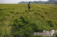 中国现在的第一淡水湖叫什么？潘阳湖的特色景观有哪些？