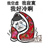 寂寞空虚冷下一句是什么？“空虚寂寞冷”的出处是哪里？